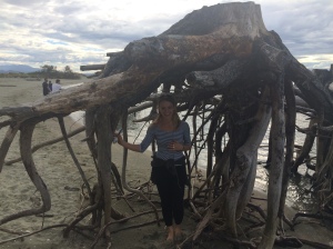 Due to erosion, a tree who sat to close to the sea reveals the secrets of its roots. 