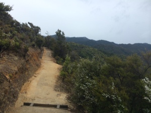The trail leading to Anchorage Bay.  The trail is extremely accessible and we were often passed by adventurous runners.   