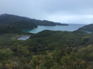 View of one of the bays along the Abel Tasman National Park.