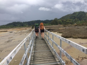 Boardwalk at the start of the Abel Tasmen "Great Walk"