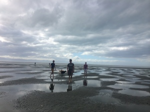 Taking Jed and Macka for a walk at low tide.  From left: SK, SK's dad, Chris 